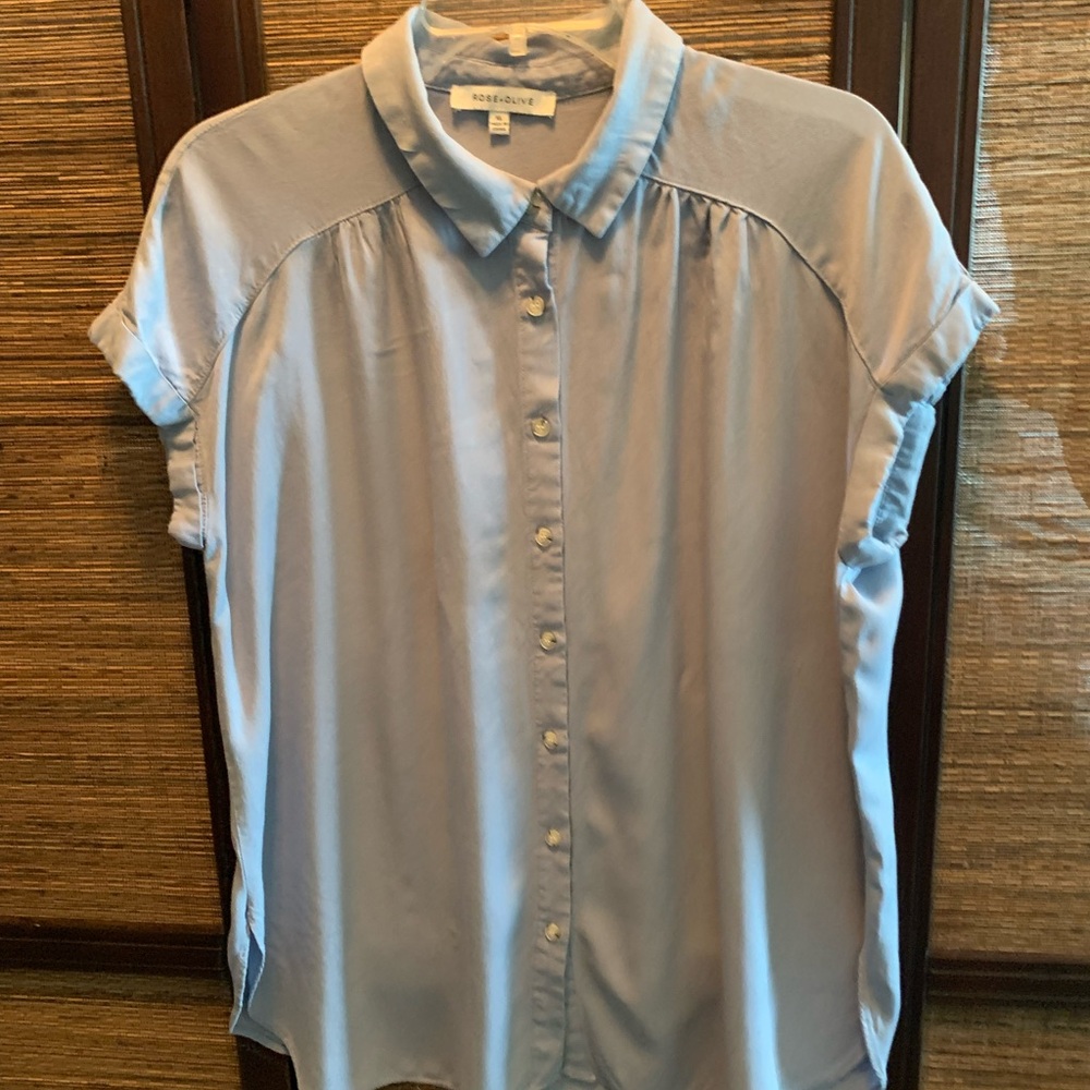 Rose & Olive Sky Blue Button-Up Blouse